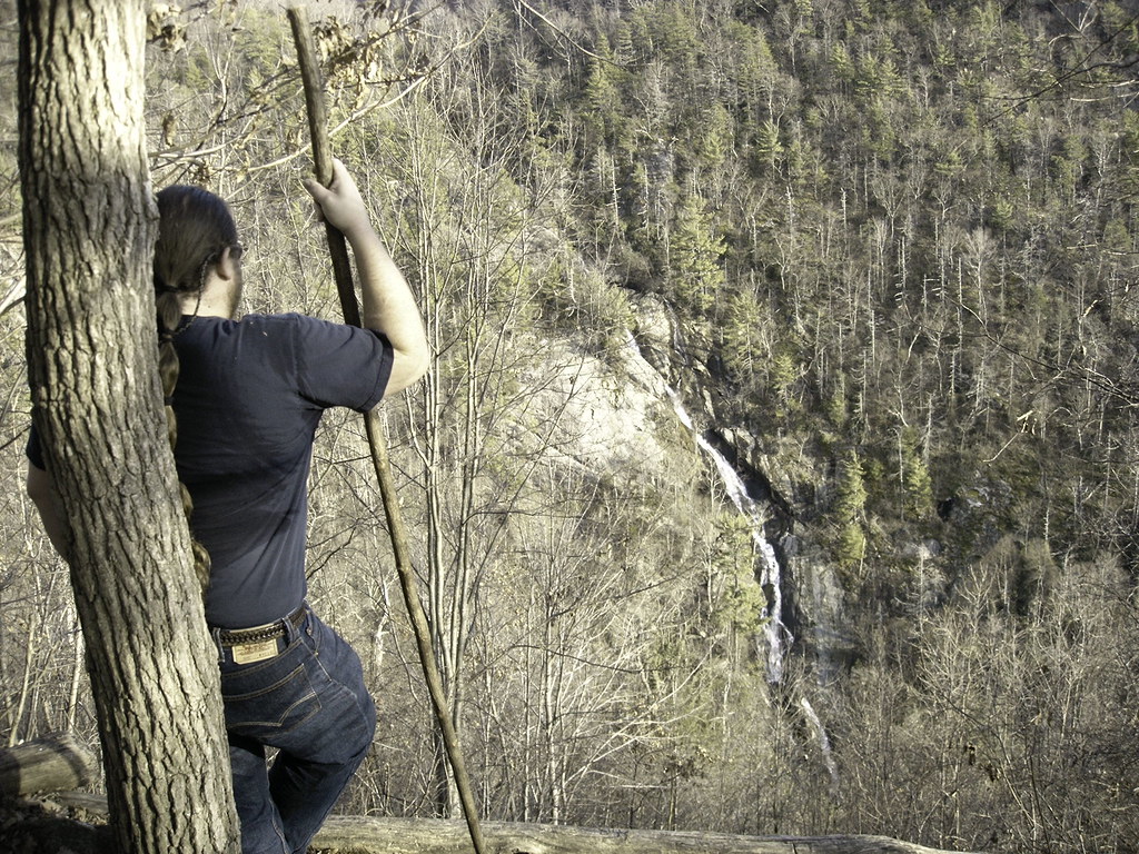 Bottom Creek Gorge Reserve