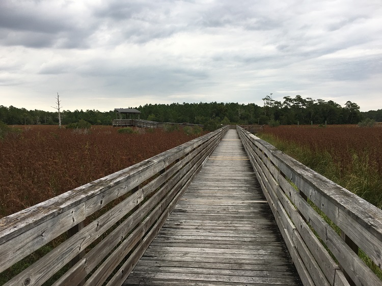 Latham-Whitehurst Nature Park