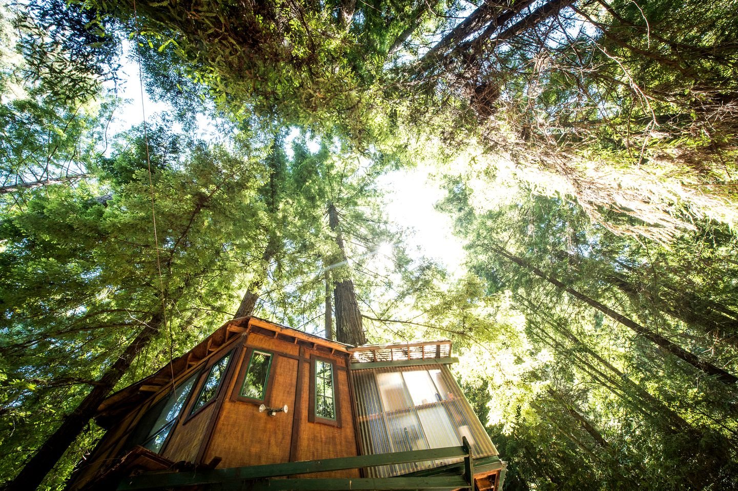 12 Best Glamping in the Bay Area Picks We Recommend Locally Guided