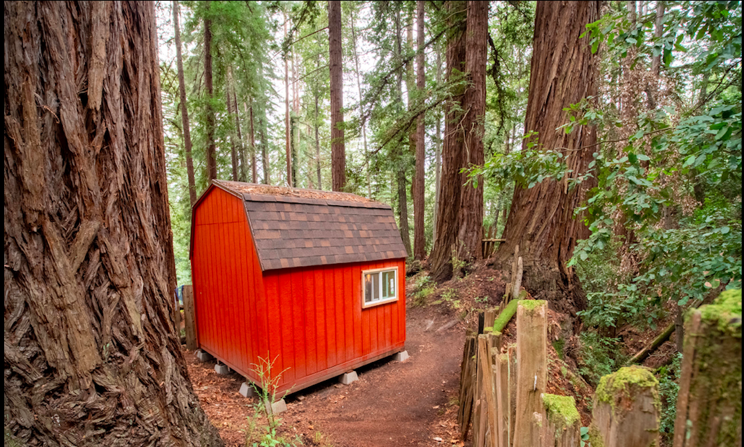 12 Best Glamping in the Bay Area Picks We Recommend Locally Guided