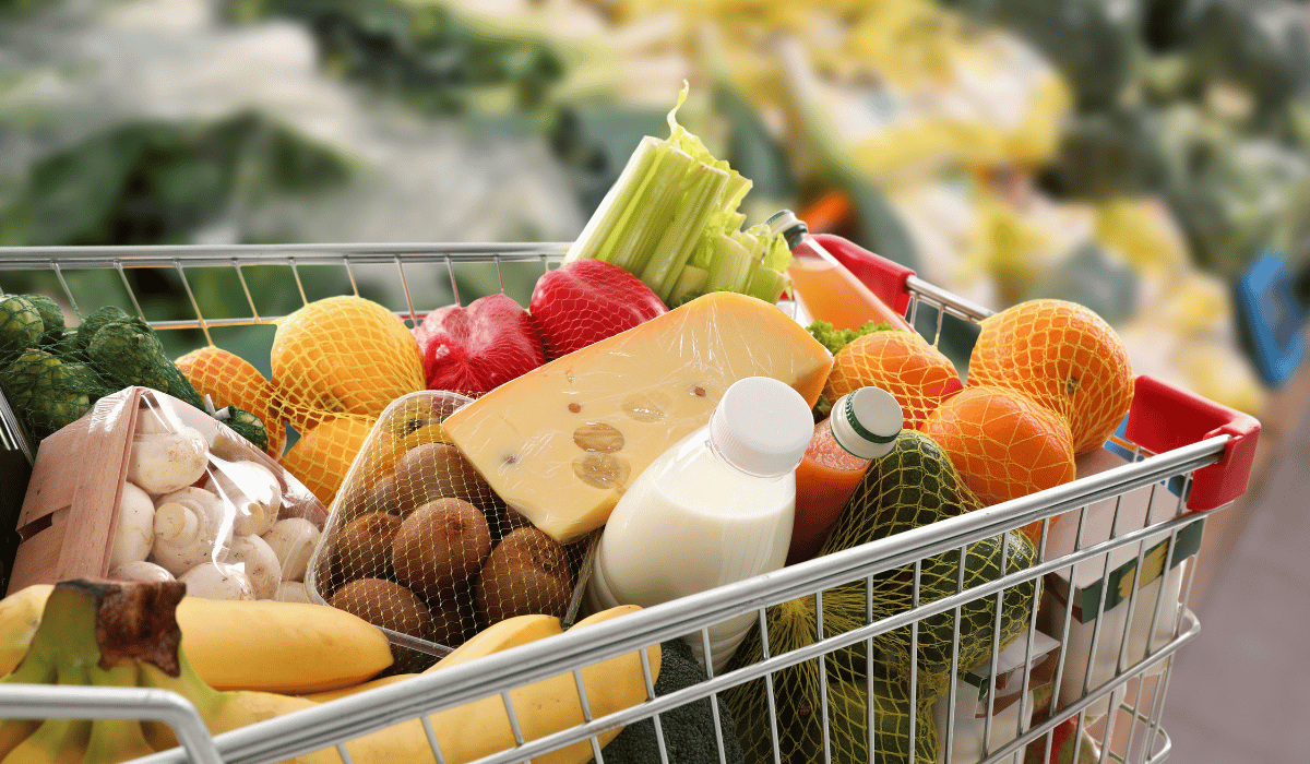 Finding the Right Alternative for Your Household